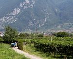 Accordo Cattolica-Coldiretti per 180 nuovi sportelli hp_thumb_img