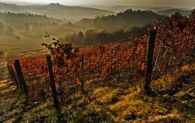 Sace, vola l'export in Piemonte