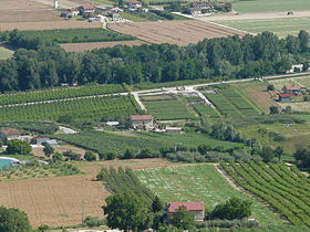 Gestione del rischio per aiutare il settore agroalimentare