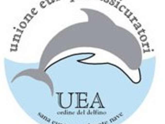 Al convegno Uea, dibattito su titolarità dei dati e privacy