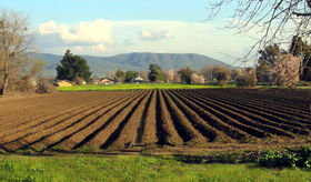 Proclamati  i vincitori di Obiettivo Agricoltura""