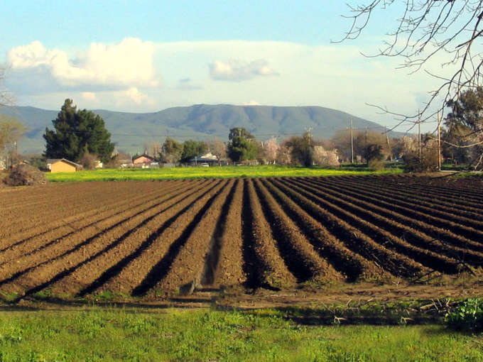 Proclamati i vincitori di Obiettivo Agricoltura""