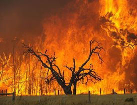 Corso di alta formazione Cineas sulle cause di incendi ed esplosioni