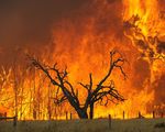 Corso di alta formazione Cineas sulle cause di incendi ed esplosioni hp_thumb_img