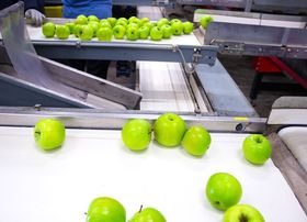 Gestione dei rischi nella filiera agro-alimentare