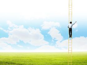 Informativa e distribuzione