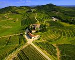 Generali Italia scommette su Genagricola hp_thumb_img