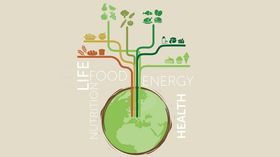 Alimentazione, evitare i rischi con una copertura parametrica